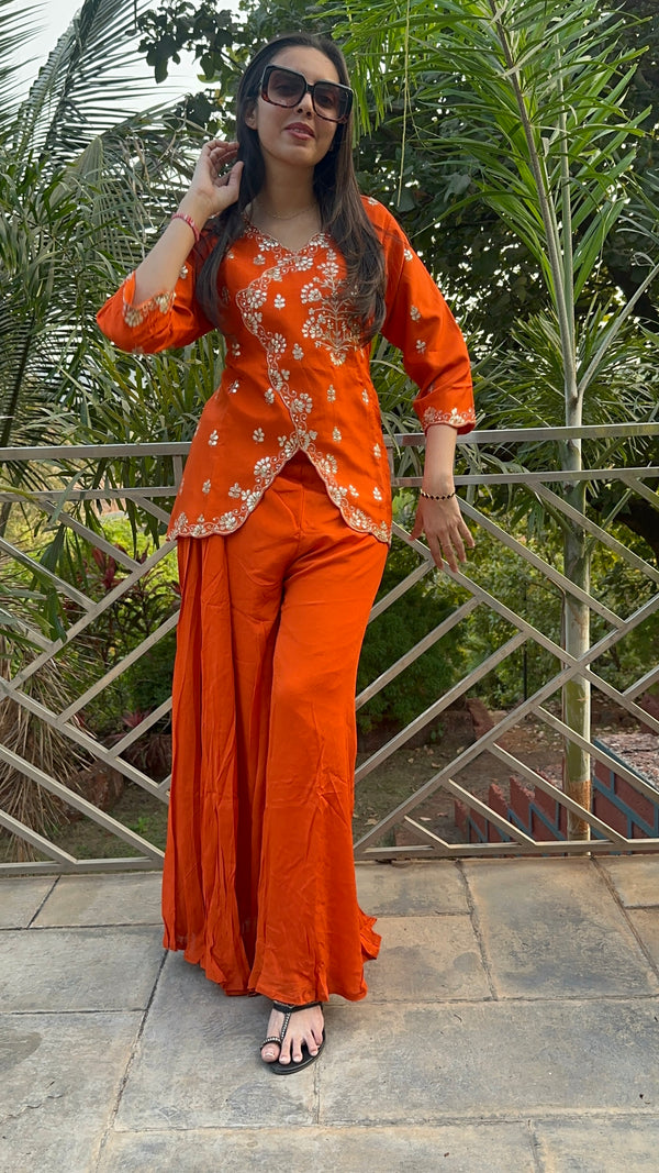 Heer indo-western set